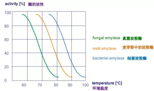 酶的活性.jpg